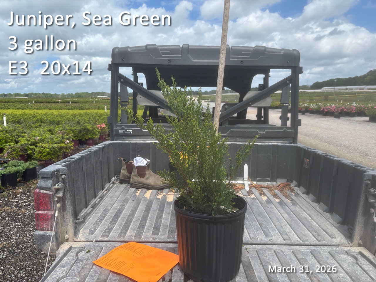 gallery/jsg3 e3 mar31.jpg